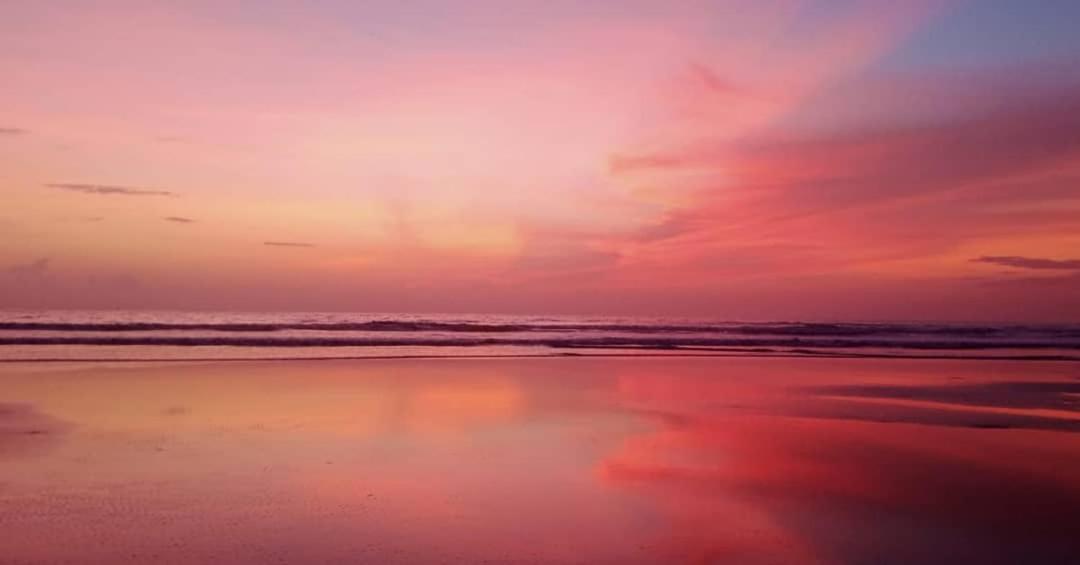 Dreamcatcher House & Hostel At Arambol Beach 外观 照片